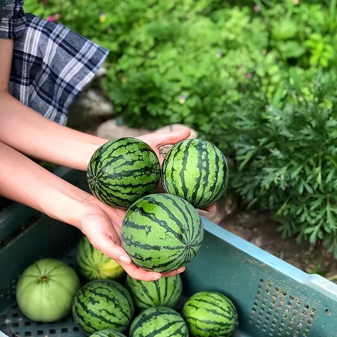 上海長寧海外打工一年能掙多少錢