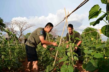 廣東廣州國外工作改善生活