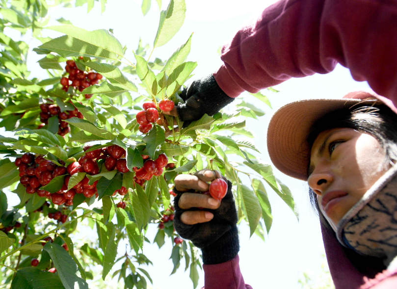 湖南邵陽新邵出國打工哪個國家掙得多