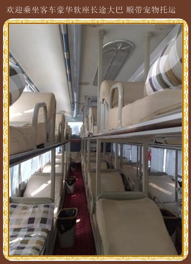文登到白城至大巴車電話多少