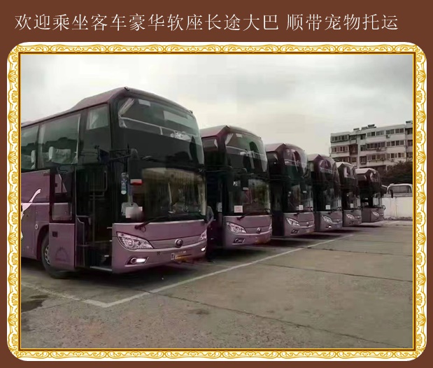 東營到周口汽車客車推薦