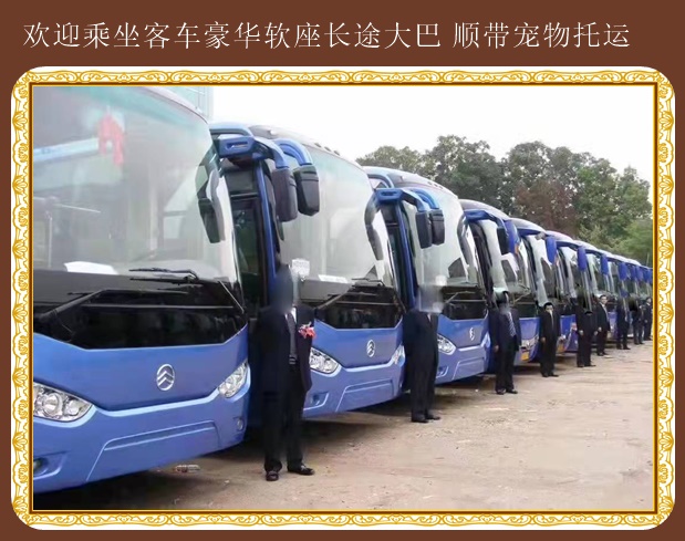 東營到深圳乘車路線網上訂票