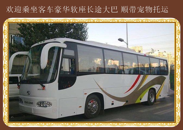 海陽到項城大巴汽車提前預定