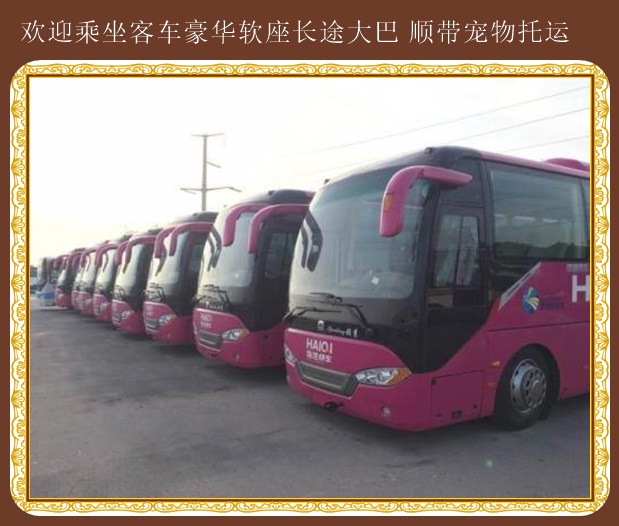 青州到上蔡的汽車上車價(jià)格多少