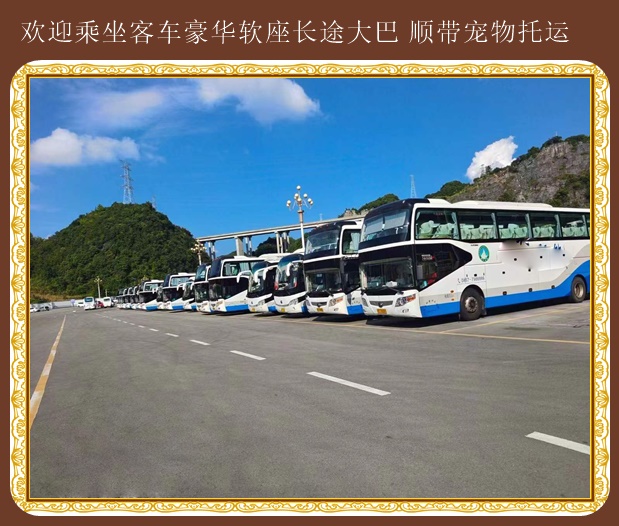 招遠到慈溪汽車客運總站
