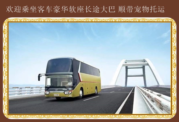 文登到焦作至大巴車可以帶貨嗎