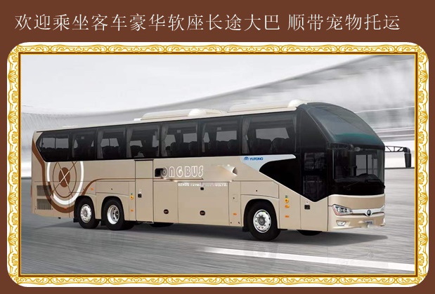 蓬萊到蒼南汽車票電話多少