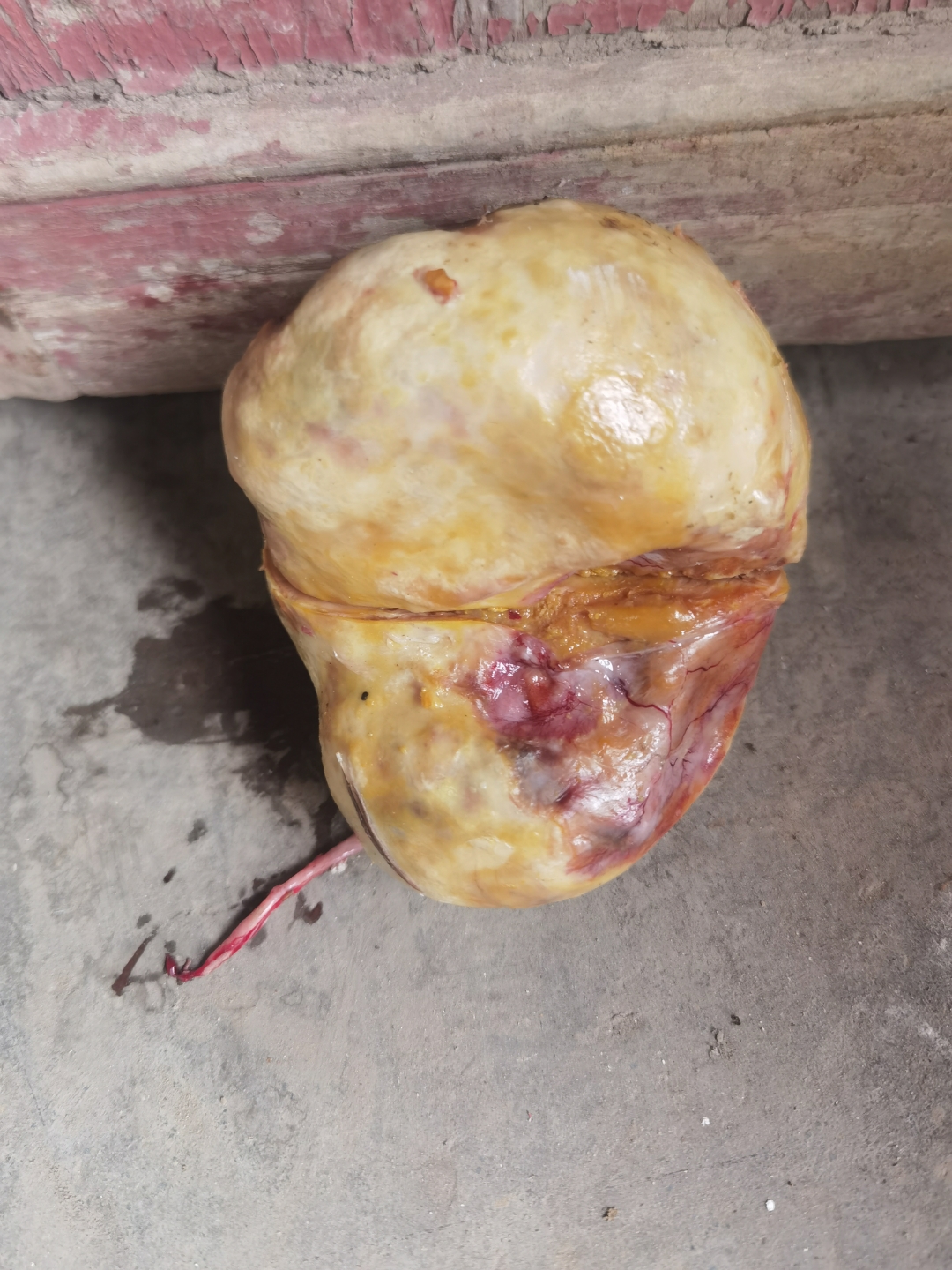 阿拉善盟哪里私人收購大清銀錠現金收購