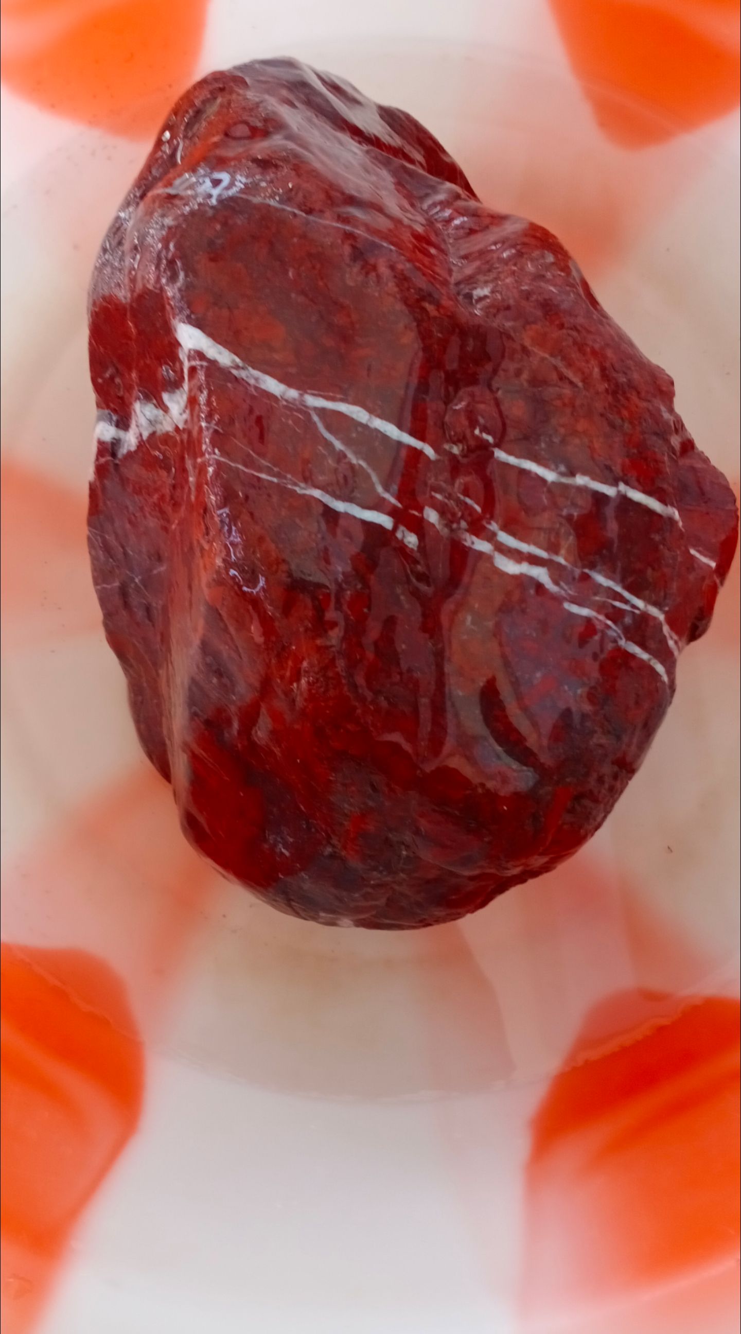 阿拉善盟哪里私人收購植物化石現(xiàn)金收購