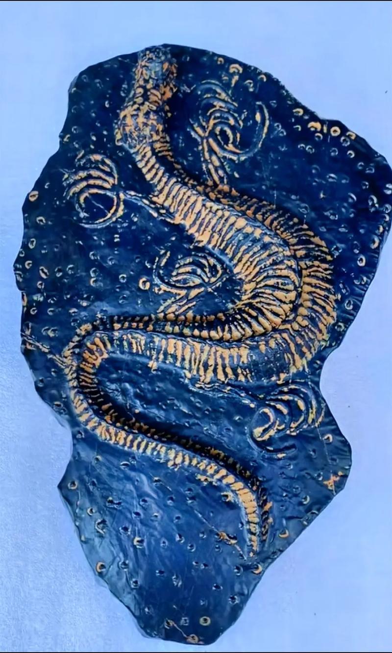 贵阳上门免费鉴定收购光绪元宝现金收购电话