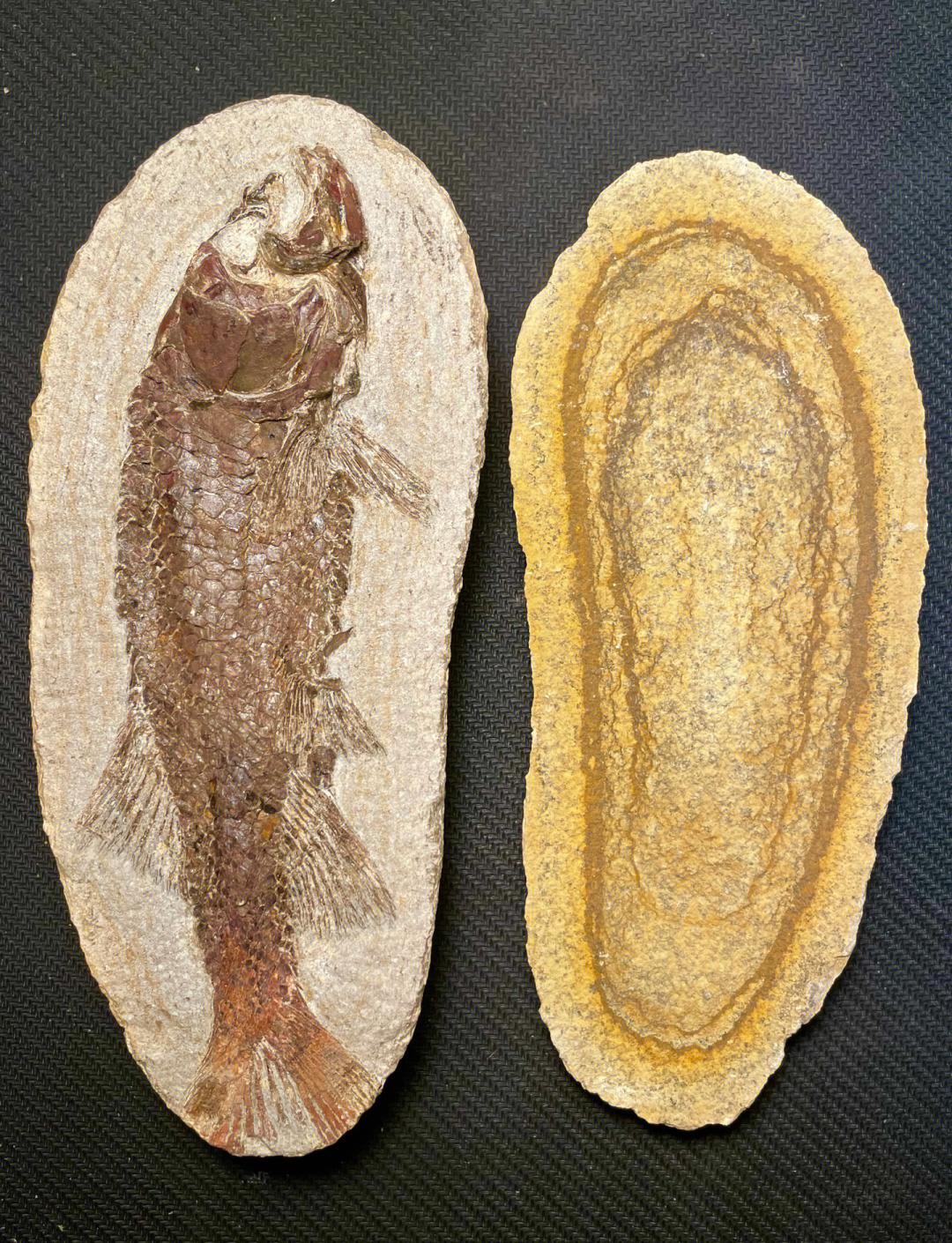 阿拉善盟上門免費鑒定收購玉器現(xiàn)金收購電話