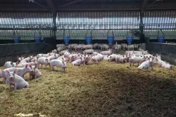 江西南昌青云譜海外務工一年能掙多少錢