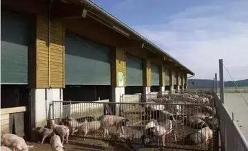 湖南常德漢壽勞務輸出哪個國家掙得多新西蘭