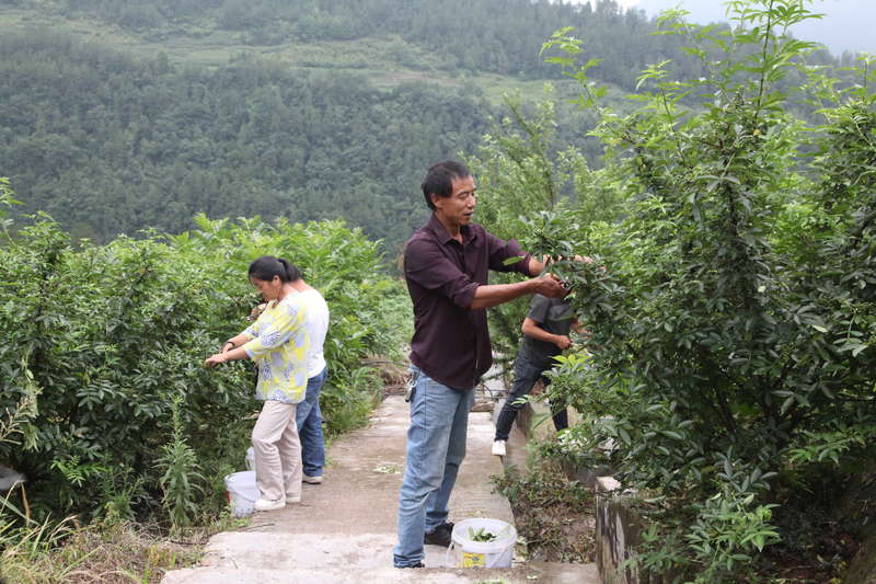 湖南岳陽(yáng)汨羅出國(guó)打工哪家好