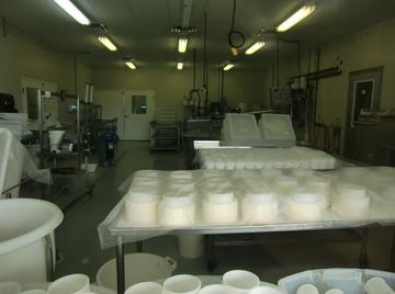 湖南岳陽汨羅出國打工哪個(gè)國家掙得多