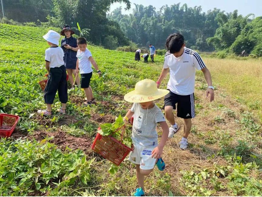 遼寧沈陽大東區出國打工哪個國家掙得多