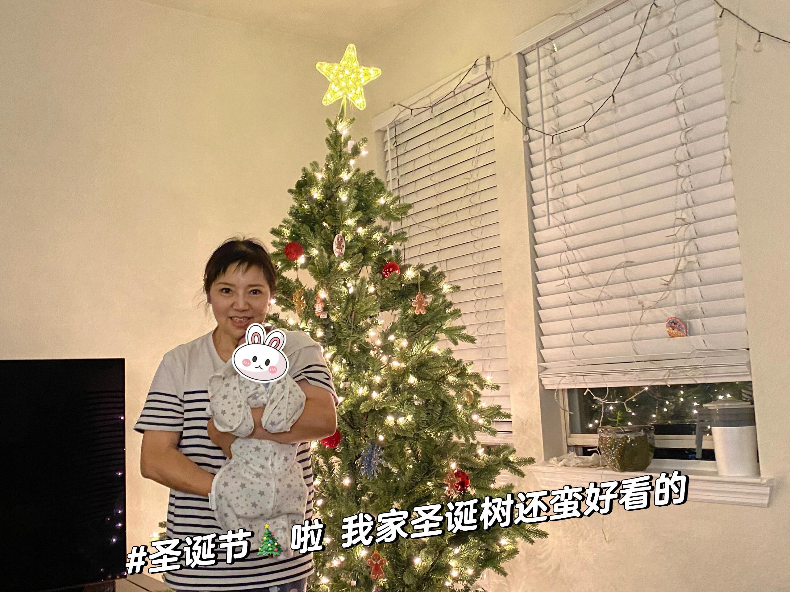 河北邢臺清河海外務工正規工作簽證