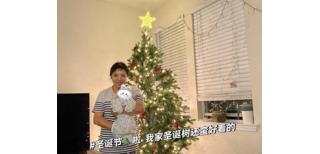 图片0