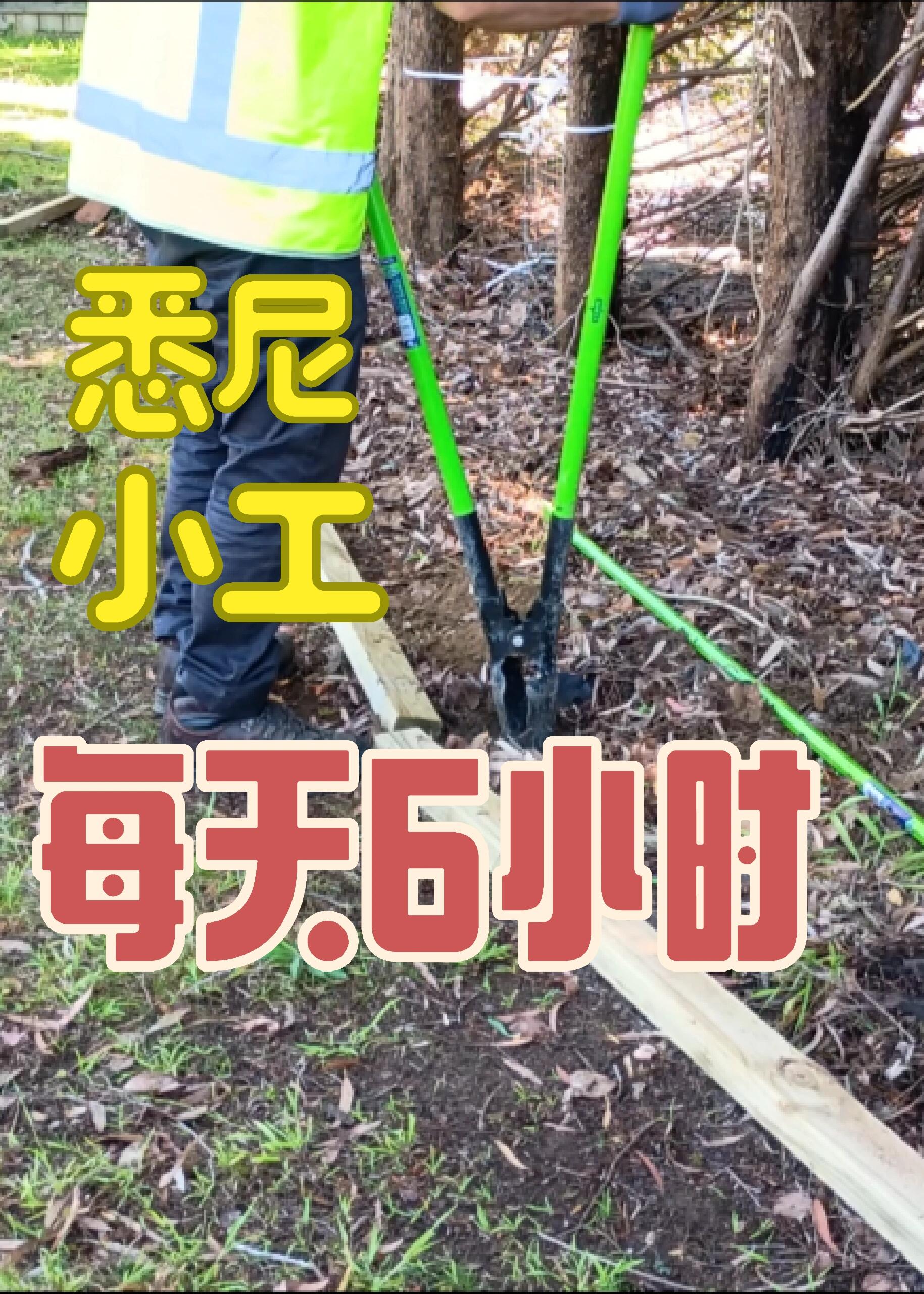 河北唐山豐潤區(qū)海外勞務(wù)正規(guī)工作簽證