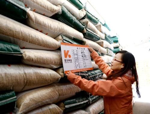 河北秦皇島青龍出國勞務(wù)一年可以賺到多少錢