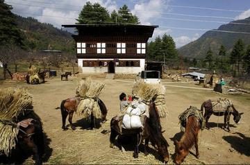 云南昆明安寧出國(guó)勞務(wù)一年可以賺到多少錢(qián)