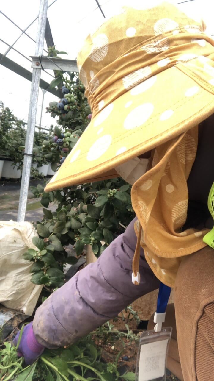 四川阿壩馬爾康海外勞務(wù)正規(guī)工作簽證