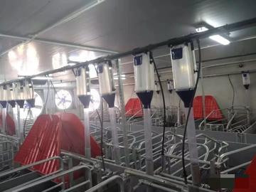 山西臨汾大寧海外輸出正規(guī)工作簽證