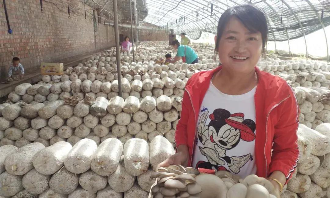 河北秦皇島青龍出國勞務(wù)一年可以賺到多少錢