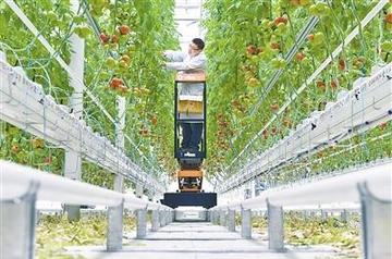 湖南衡陽衡陽勞務輸出哪個國家賺得多