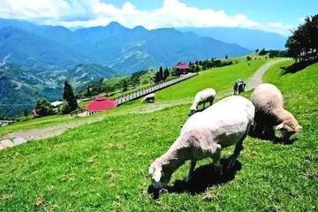 遼寧鞍山千山區(qū)出國打工正規(guī)工作簽證