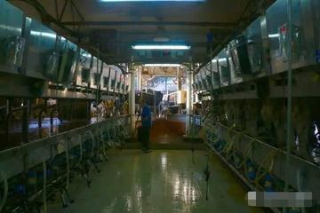 湖南岳陽(yáng)岳陽(yáng)海外務(wù)工正規(guī)工作簽證