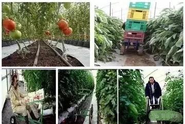 湖南永州新田海外工作正規(guī)工作簽證
