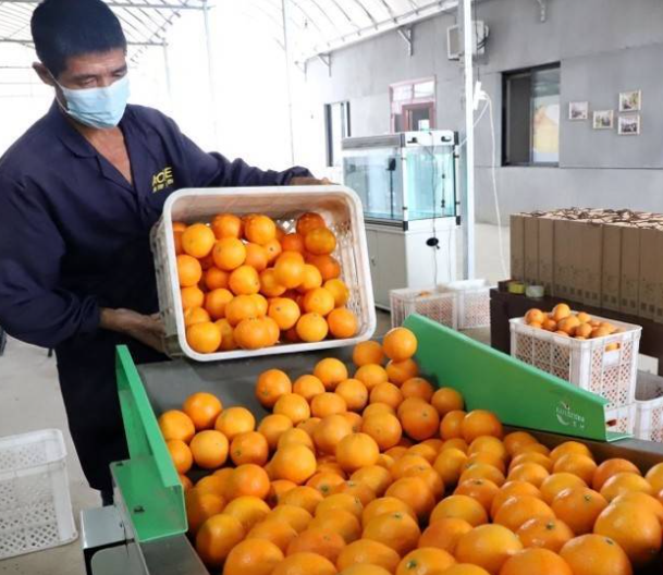 安徽阜陽太和海外勞務(wù)哪家好