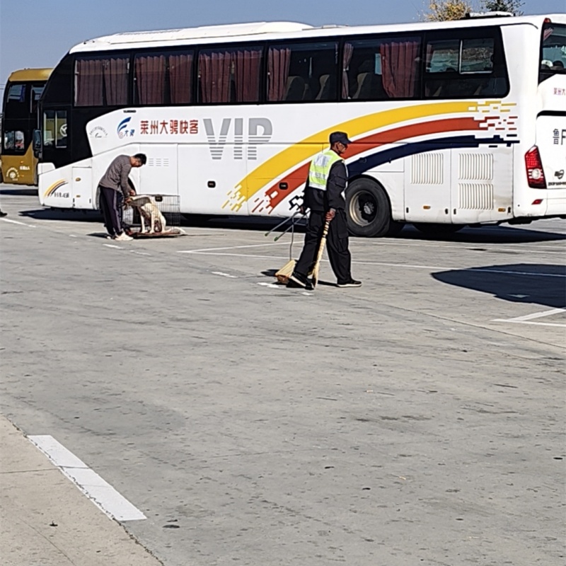 汽車:臨朐到兗州的直達(dá)客車(專線客運(yùn))