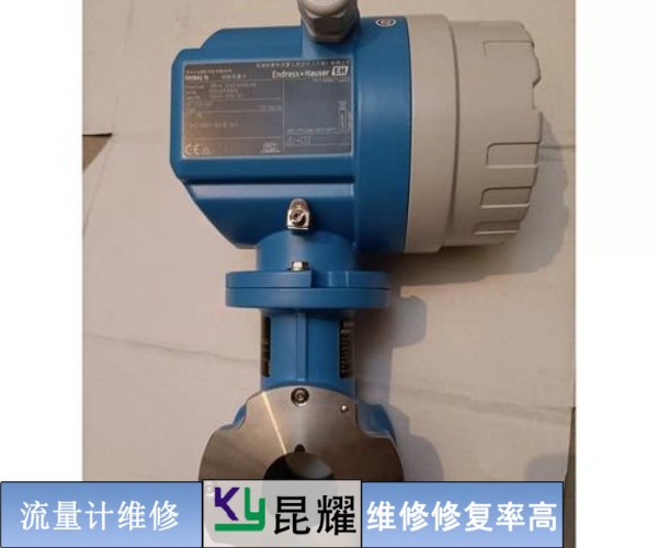 蒸汽埃爾斯特Elster流量計維修讓你省心