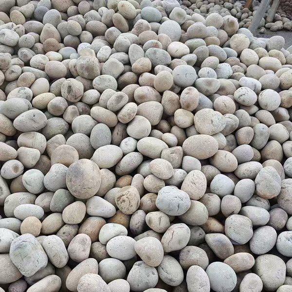 焦作修武縣鵝卵石黃白5-8厘米變壓器鵝卵石廠家批發(fā)