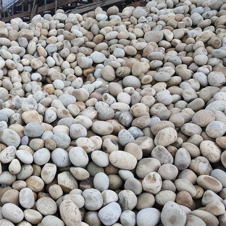 邵陽城步苗族自治縣鵝卵石鵝卵石8-10公分電力變壓器鵝卵石濾料規(guī)格多樣廠家品牌