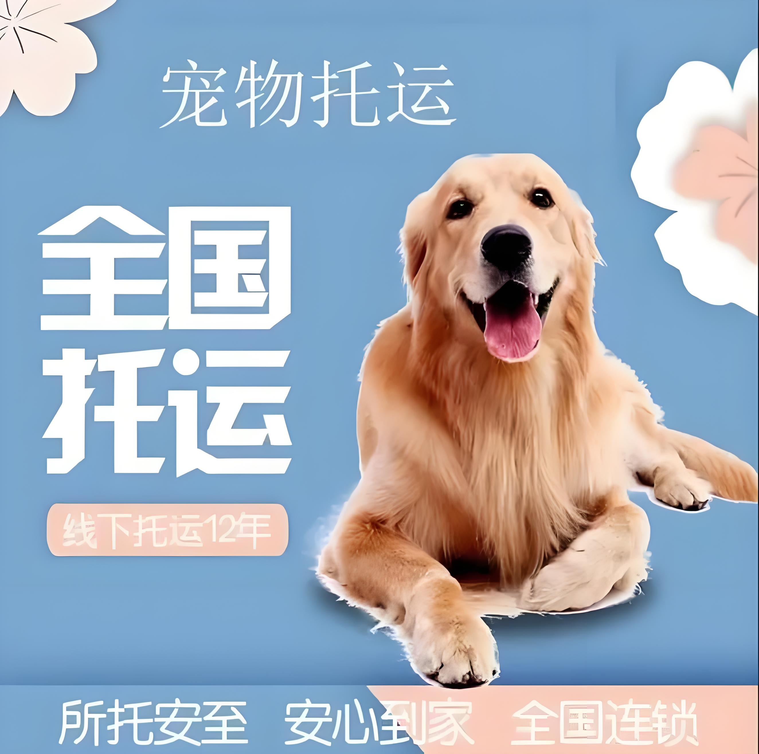 托運）昌吉出國托運單托運