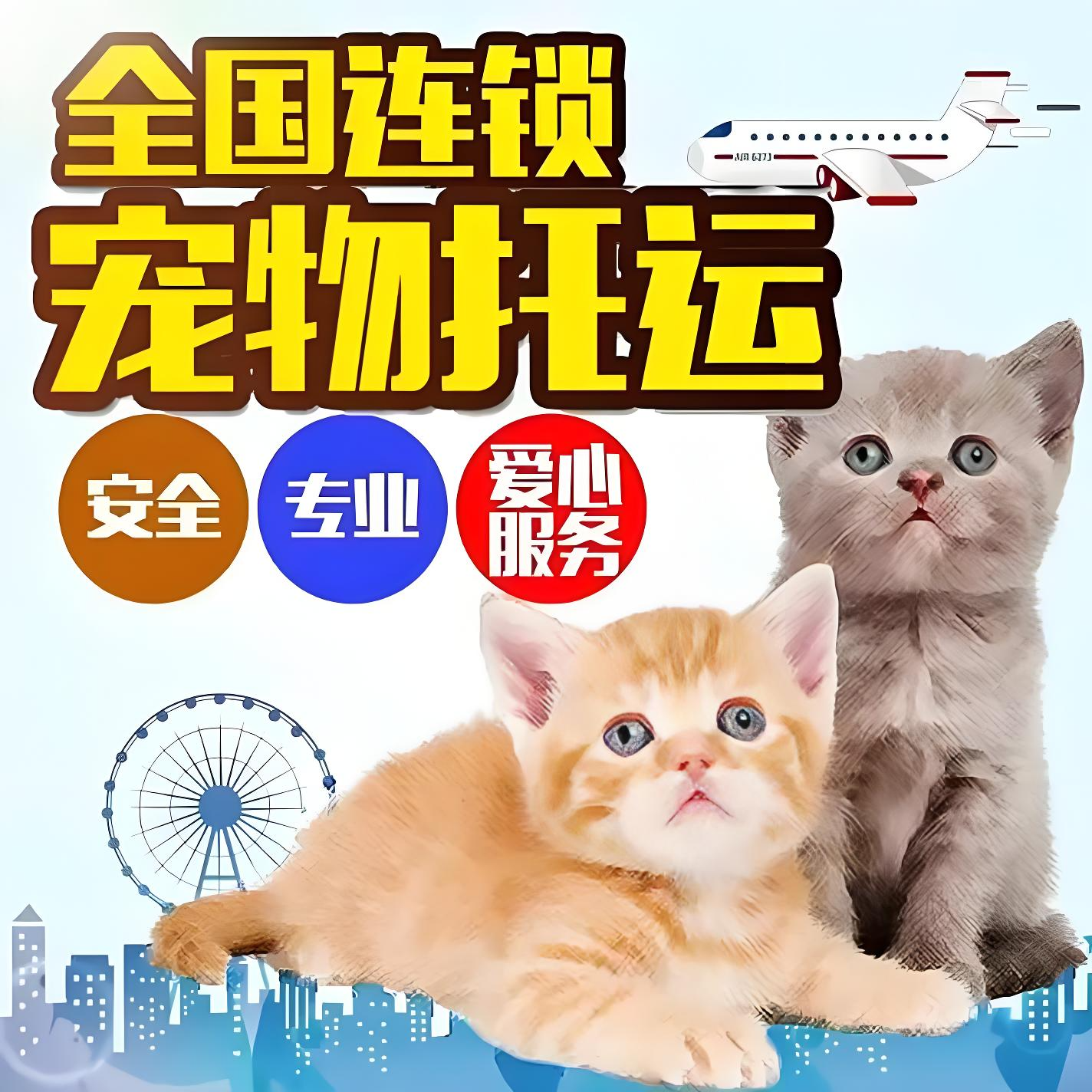 馬鞍山 托運 狗托運