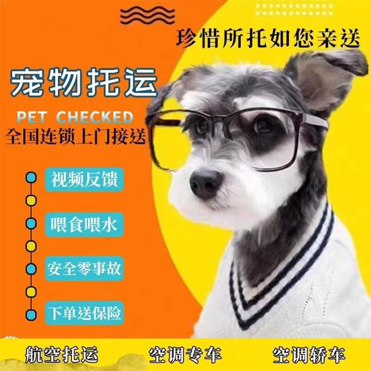 德州正規(guī)托運(yùn)-飛機(jī)托運(yùn)