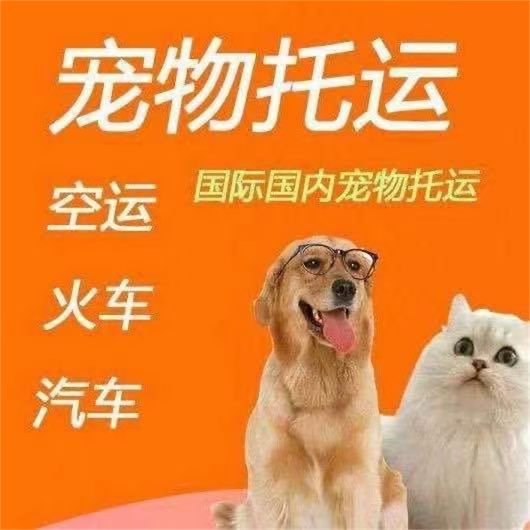 宜賓 貓托運 活體運輸