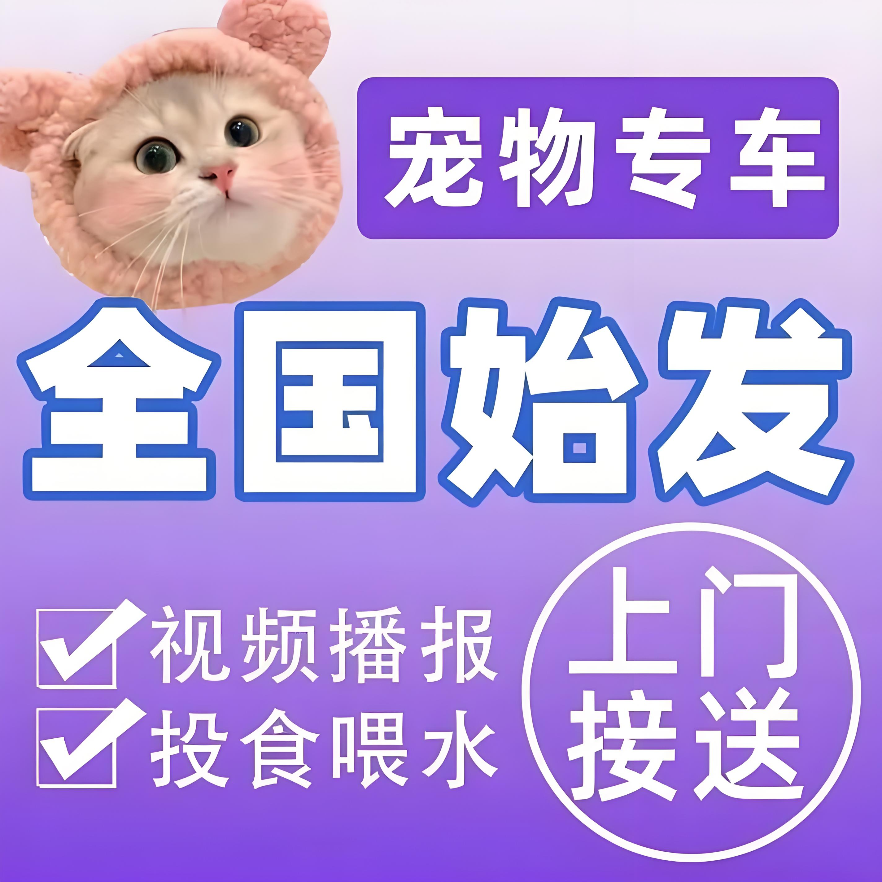 蘇州 托運物流 靠譜貓咪狗狗搬家運輸