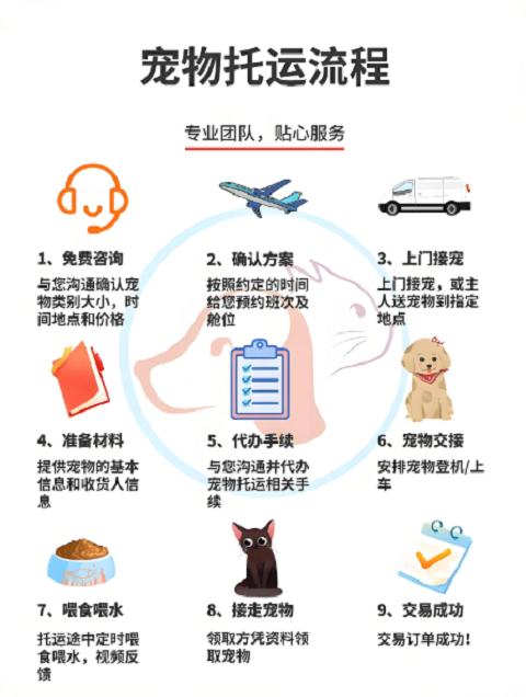 福州 貓咪托運 活體運輸