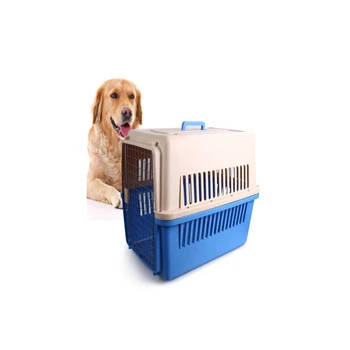 云南红河宠物托运专线托运