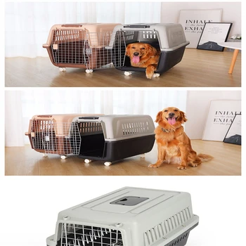 云南红河宠物托运专线托运