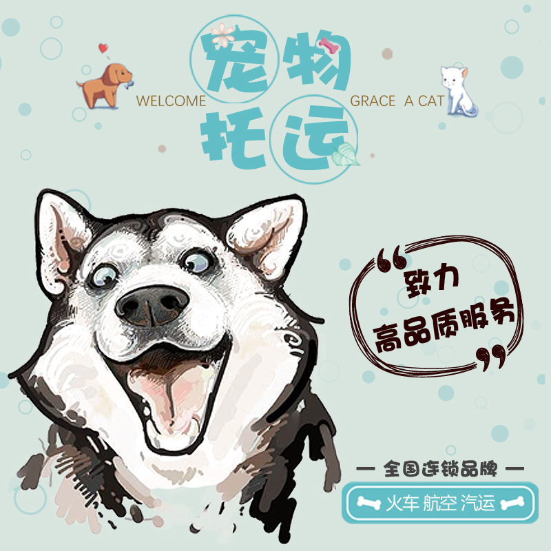 揚(yáng)州 狗狗托運(yùn) 托運(yùn)費(fèi)用