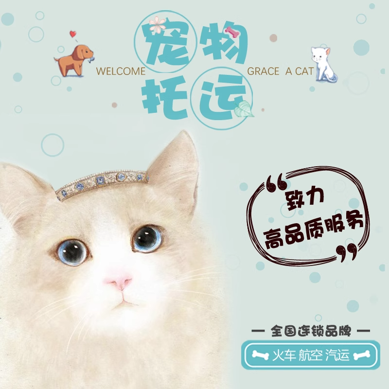 武清 貓咪托運(yùn) 托運(yùn)公司