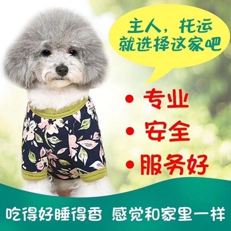 沈陽(yáng) 托運(yùn)郵寄 活體運(yùn)輸