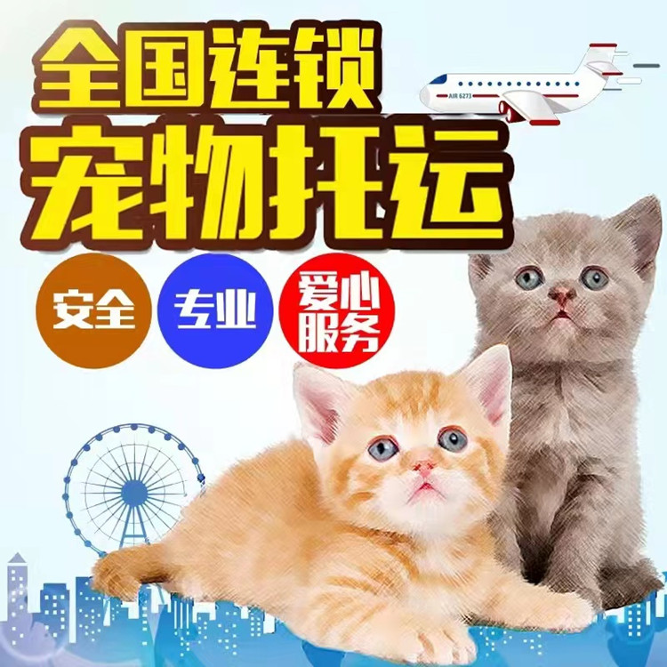 牡丹江 托運物流 單托運