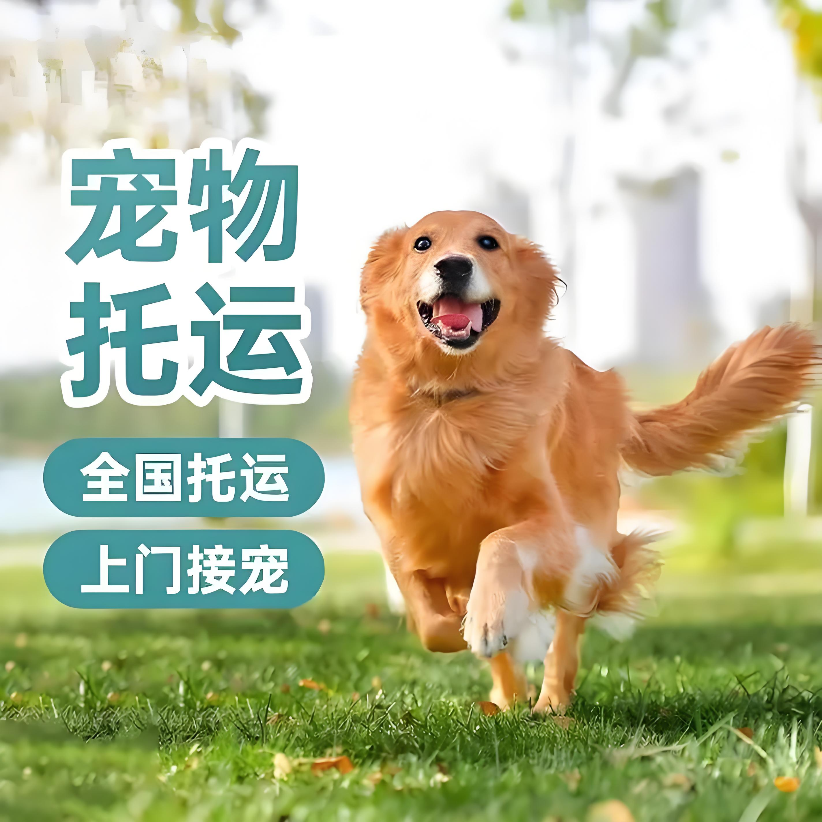 南開 正規(guī)托運 汽車帶托運
